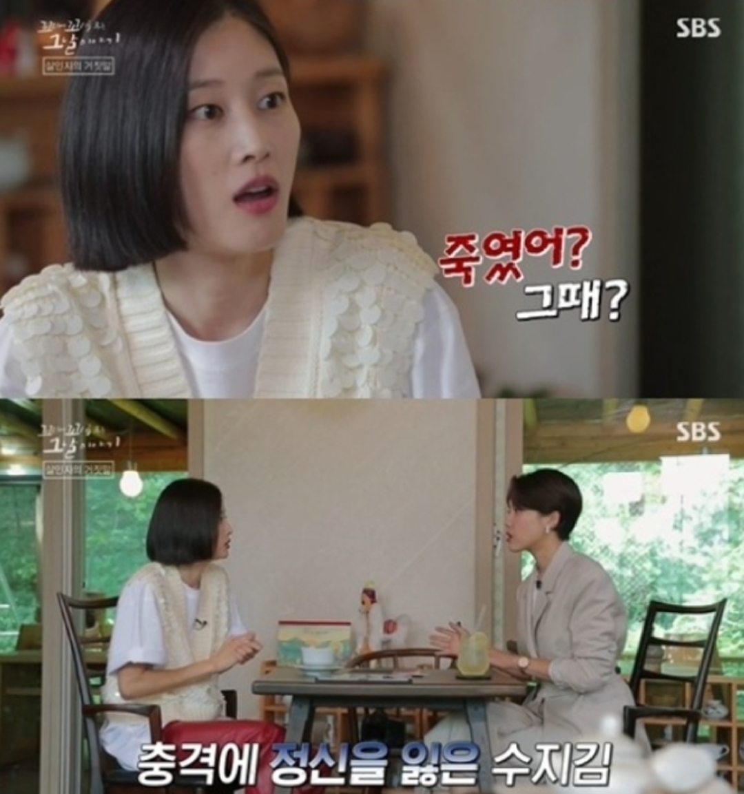  수지 김 피살사건 장세동 프로필 나이