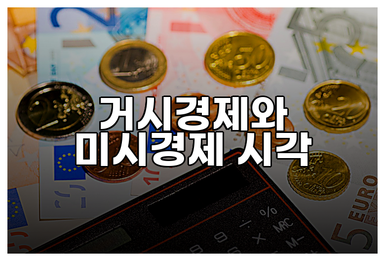 거시경제와 미시경제 시각