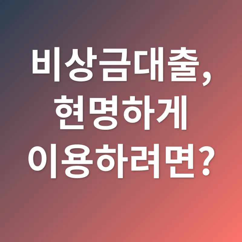 비상금대출_3