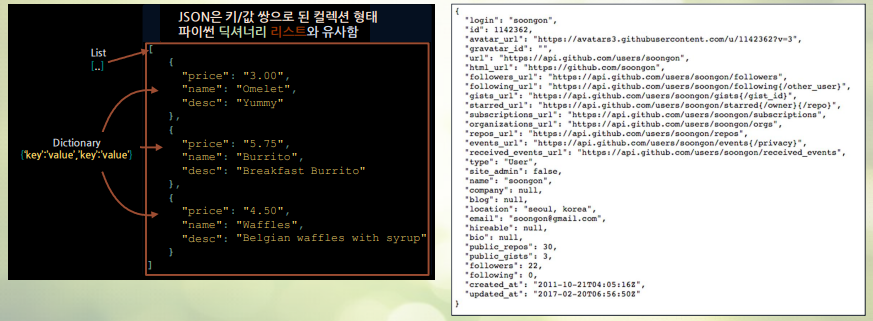 JSON 포맷