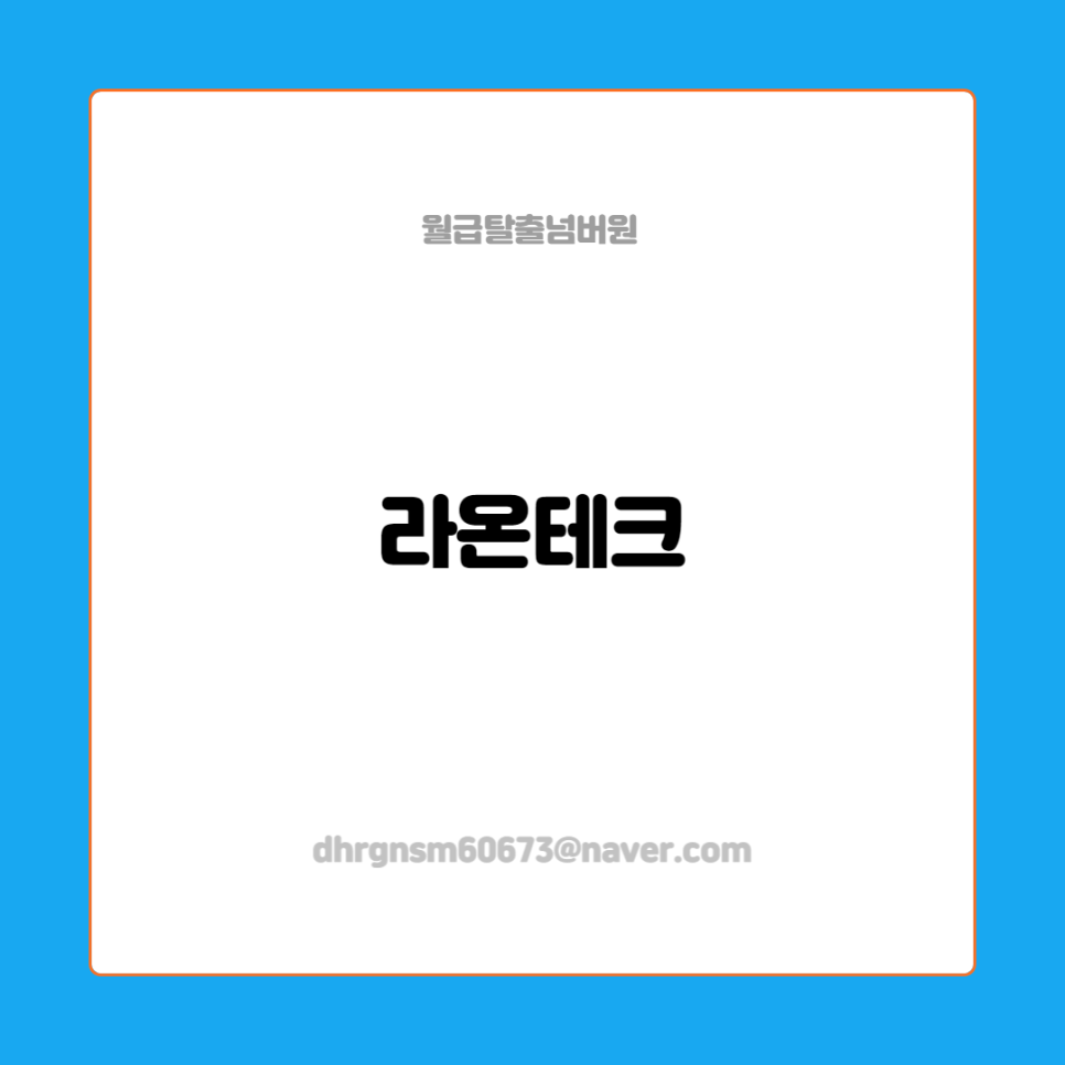 라온전자 이미지