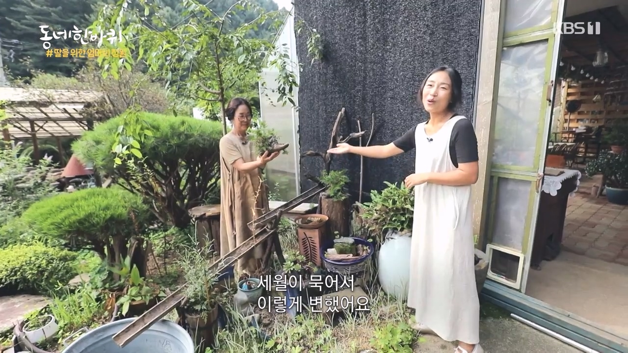 동네 한 바퀴.E237.230827p-NEXT.mp4_20230829_210245.821.jpg