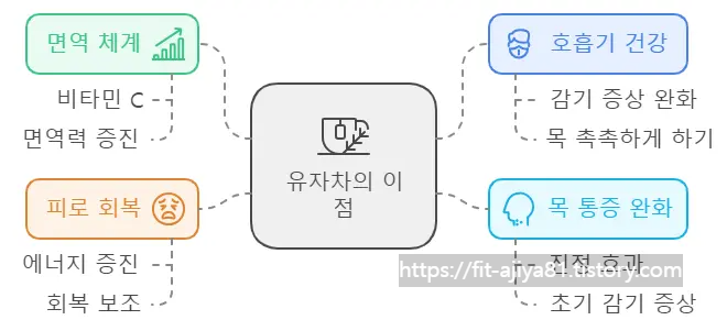 유자차 효능