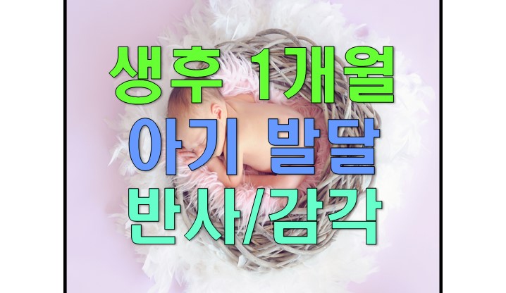  신생아 생후 1개월, 한달 아기발달 : 반사작용, 감각발달, 키, 몸무게