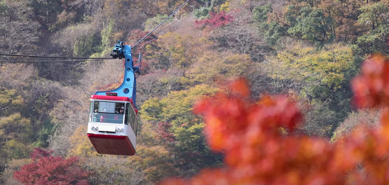 내장산케이블카