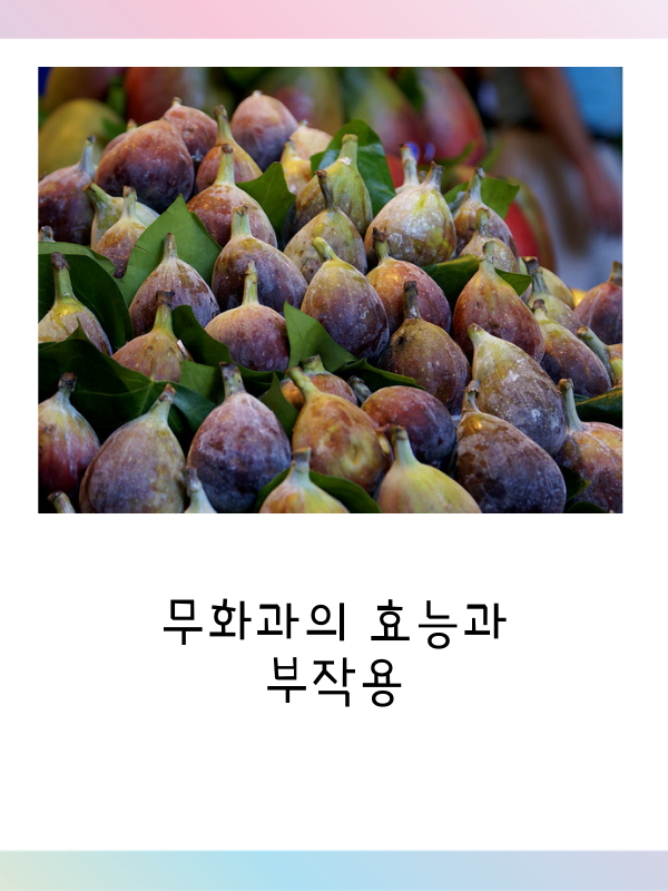  무화과 효능과 부작용에 관하여