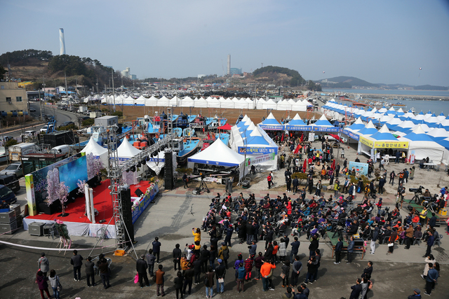 서천 동백죽축제와 논산딸기축제 21