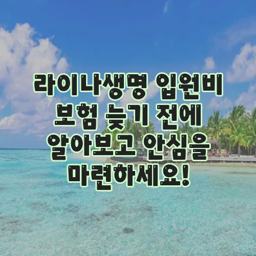 라이나생명 입원비 보험 늦기 전에 알아보고 안심을 마련하세요!
