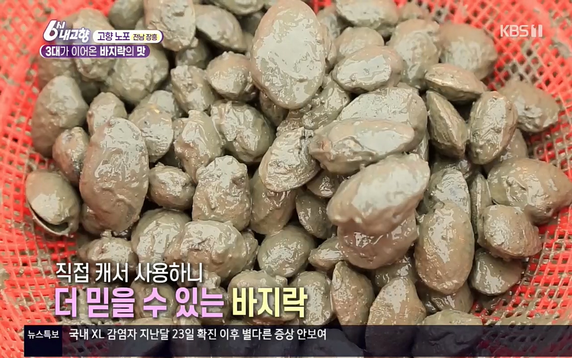 6시 내고향.E7509.220413p.H264-F1RST.mp4_20220418_195016.469.jpg