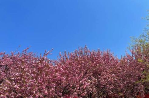완산-꽃동산