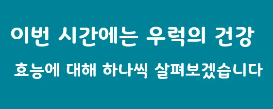 이번 시간에는 우럭의 건강 효능에 대해 하나씩 살펴보겠습니다