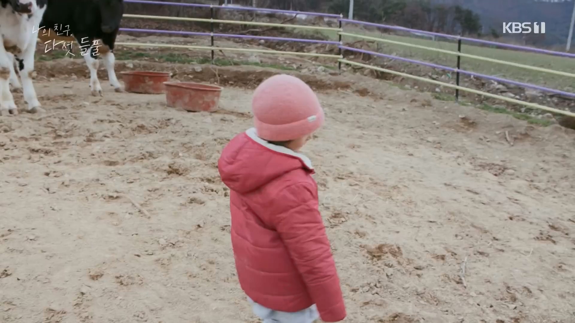 특집 다큐 나의 친구, 다섯 들풀.240119p.H264-F1RST.mp4_20240121_151732.697.jpg