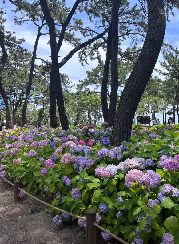 송림공원4
