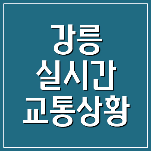 강릉 실시간 교통상황 및 CCTV 영상