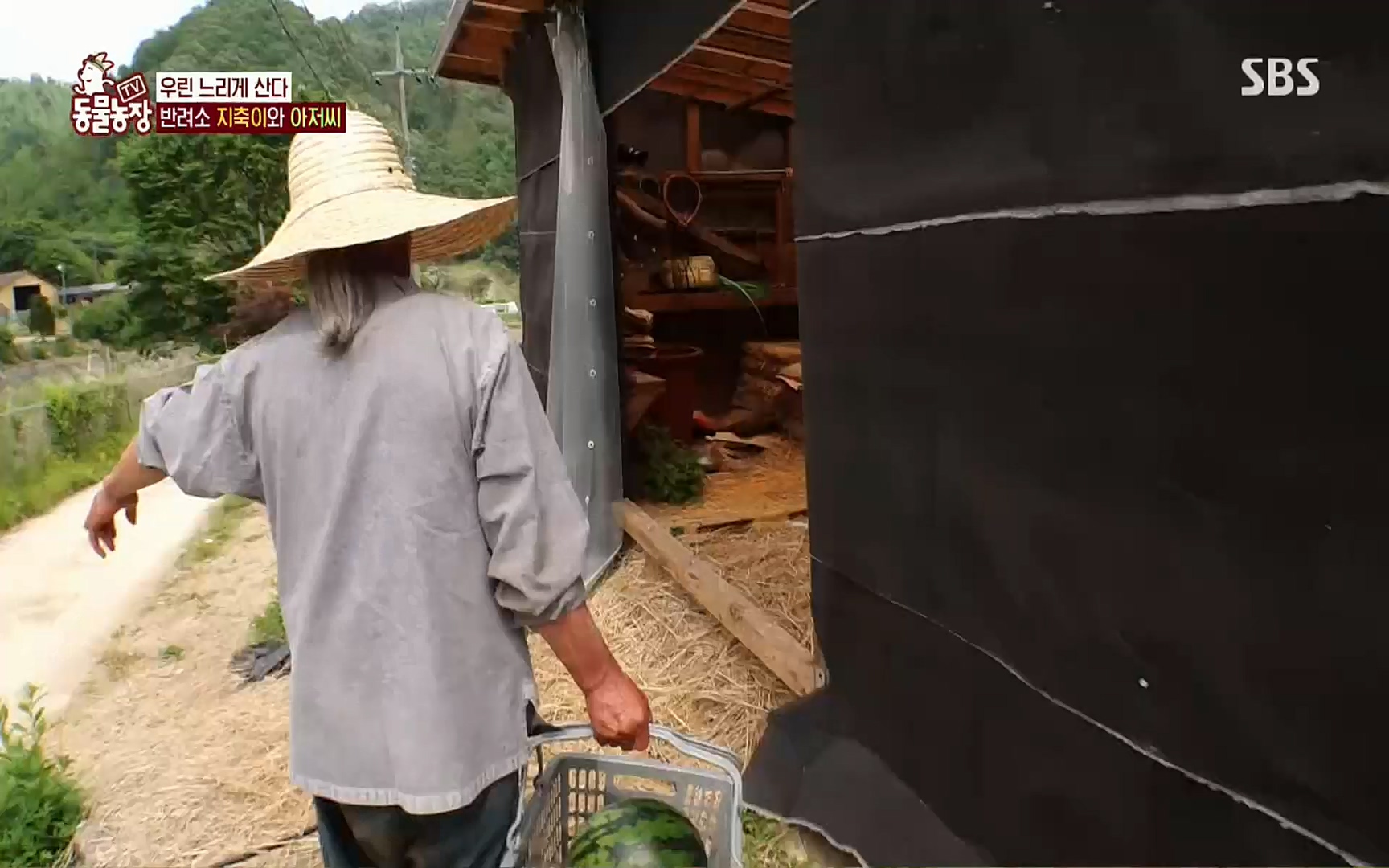 TV 동물농장.E1074.220619p.H264-F1RST.mp4_20220619_181400.050.jpg