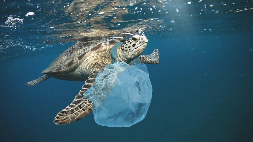 plastic wastes in the ocean
