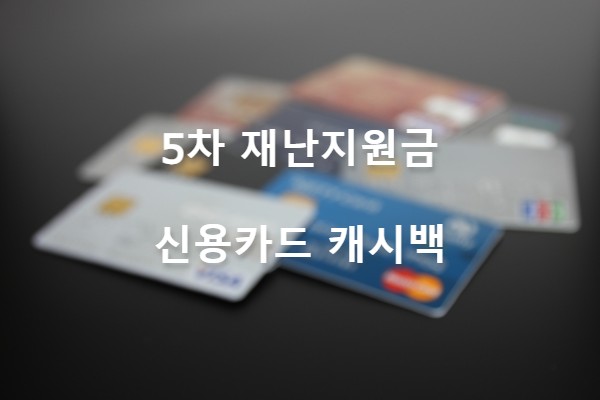 신용카드배경-신용카드캐시백지원-문자
