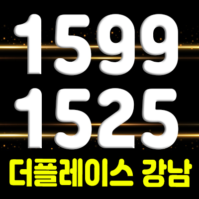  더플레이스 강남 투룸 하이엔드 오피스텔 분양가 및 공급 정보 , 모델하우스 위치 안내