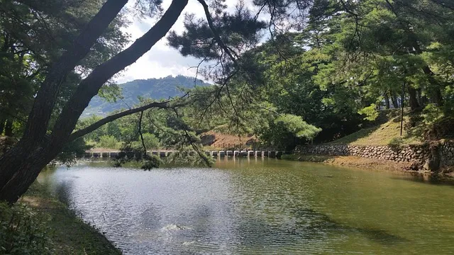 수서역 srt 시간표 예매 예약 요금_2