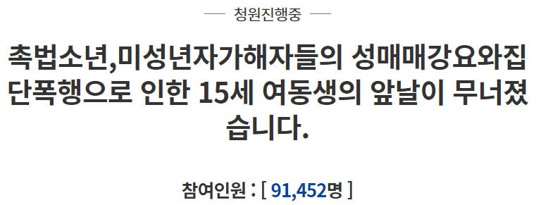  포항 여중생 여학생 국민청원 주소 (청와대)