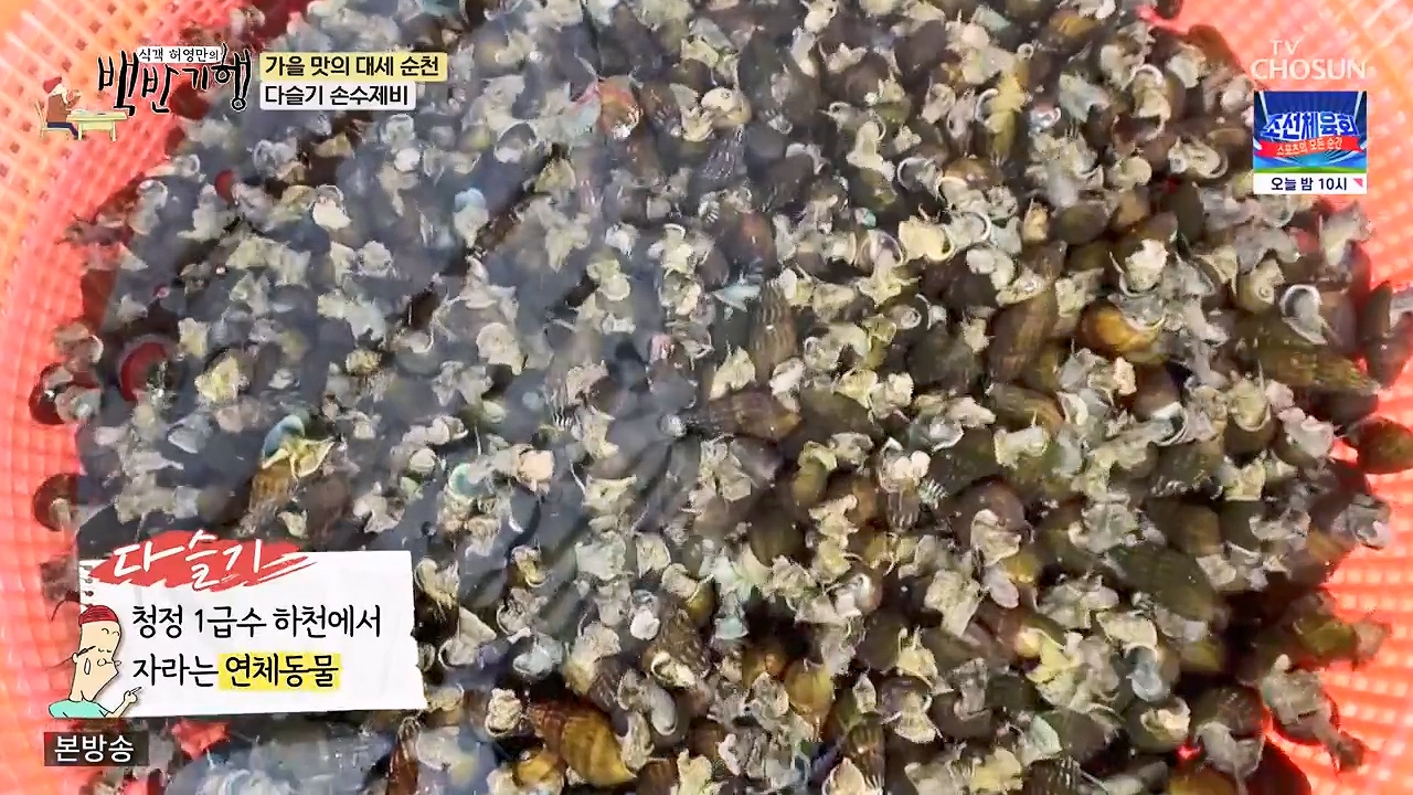식객 허영만의 백반기행.E216.230916p-NEXT.mp4_20230916_162915.776.jpg