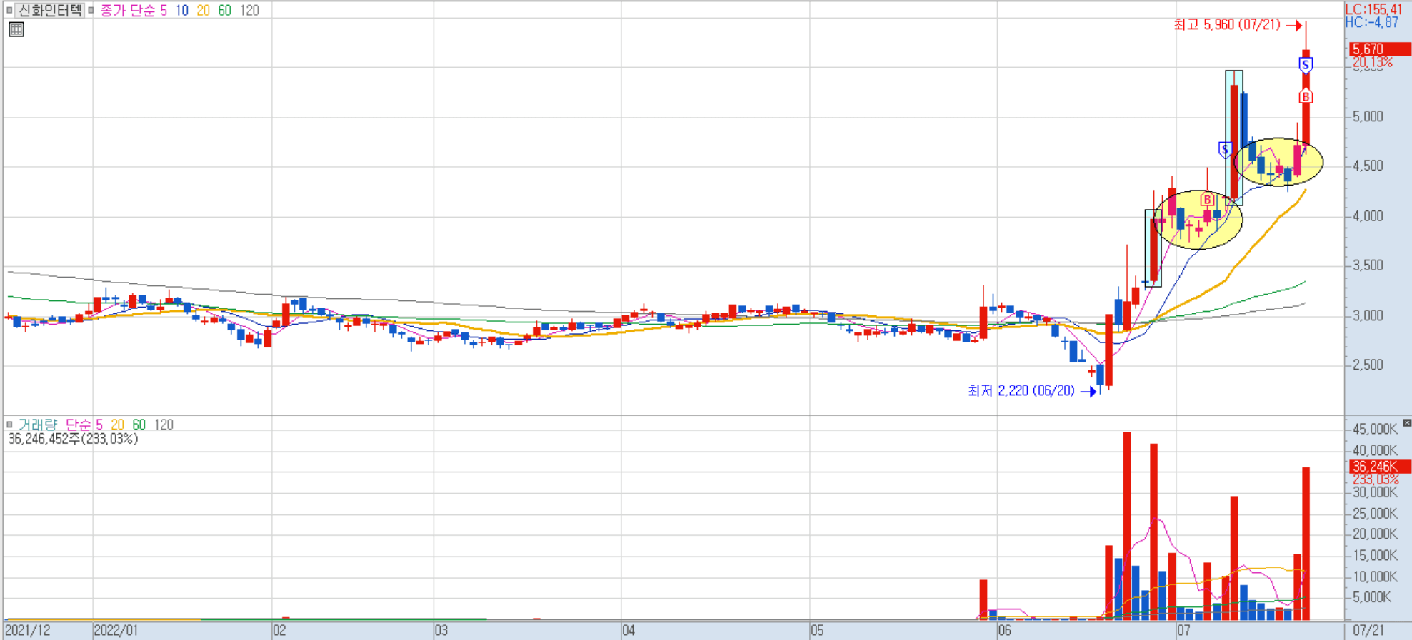 신화인터텍 일봉 차트