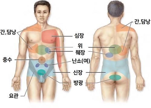 복부 초음파 검사, 치료 담석증 증상(통증, 방사통),