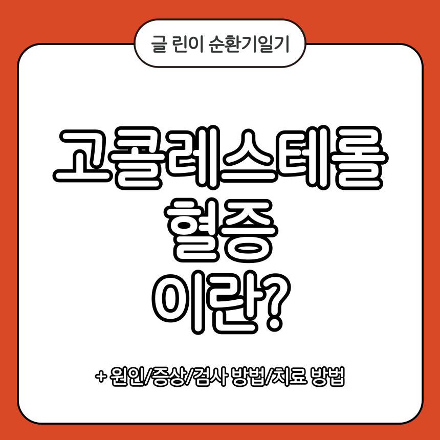 고콜레스테롤혈증