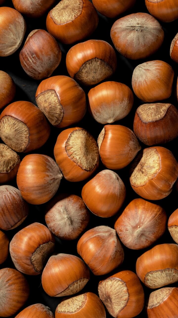 chestnut