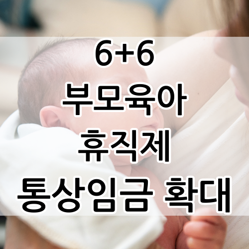  6+6 부모육아휴직제 통상임금 확대지원 해택