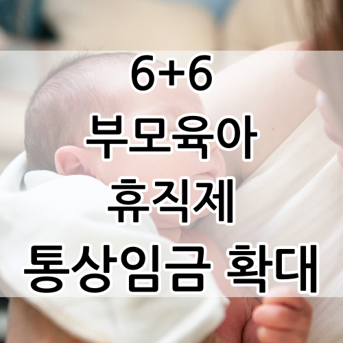 6+6 부모육아휴직제통상임금확대지원