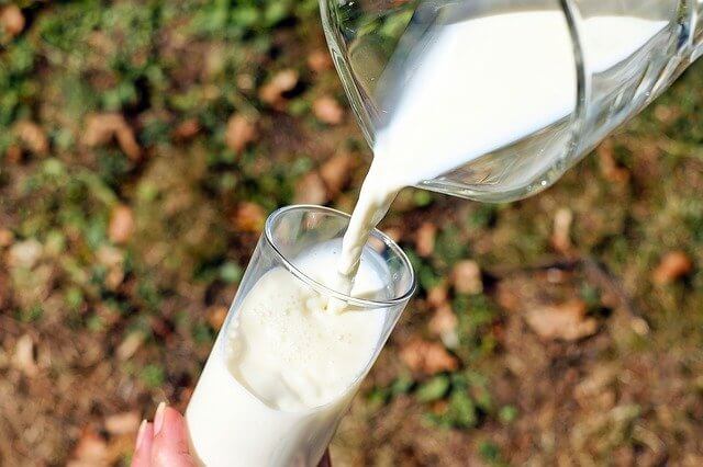 칼슘 많은 음식 우유