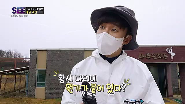 [88회] KBS 네트워크 특선 - KBS지구 재생 프로젝트, 종의 귀환.ts_20230309_201425.375.jpg