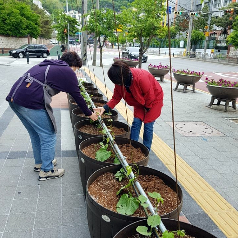 kbs1tv 다큐온 KBS1TV // 회천3동 생태그늘막 12