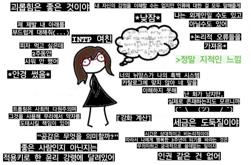  MBTI 여친 번역함(INTP 여친)