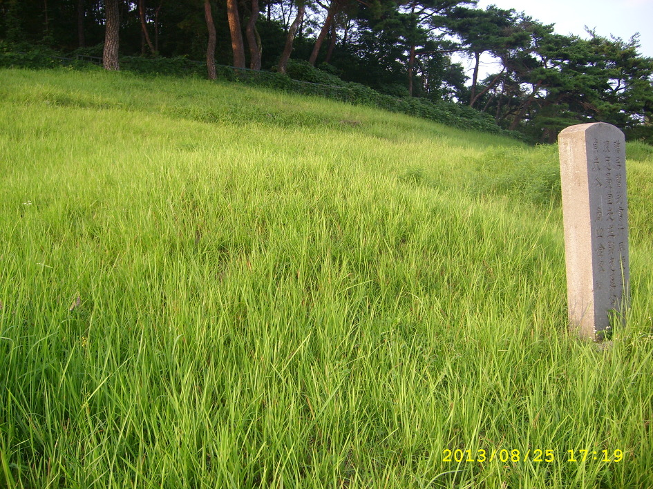 합천 창녕보 가는 길 50