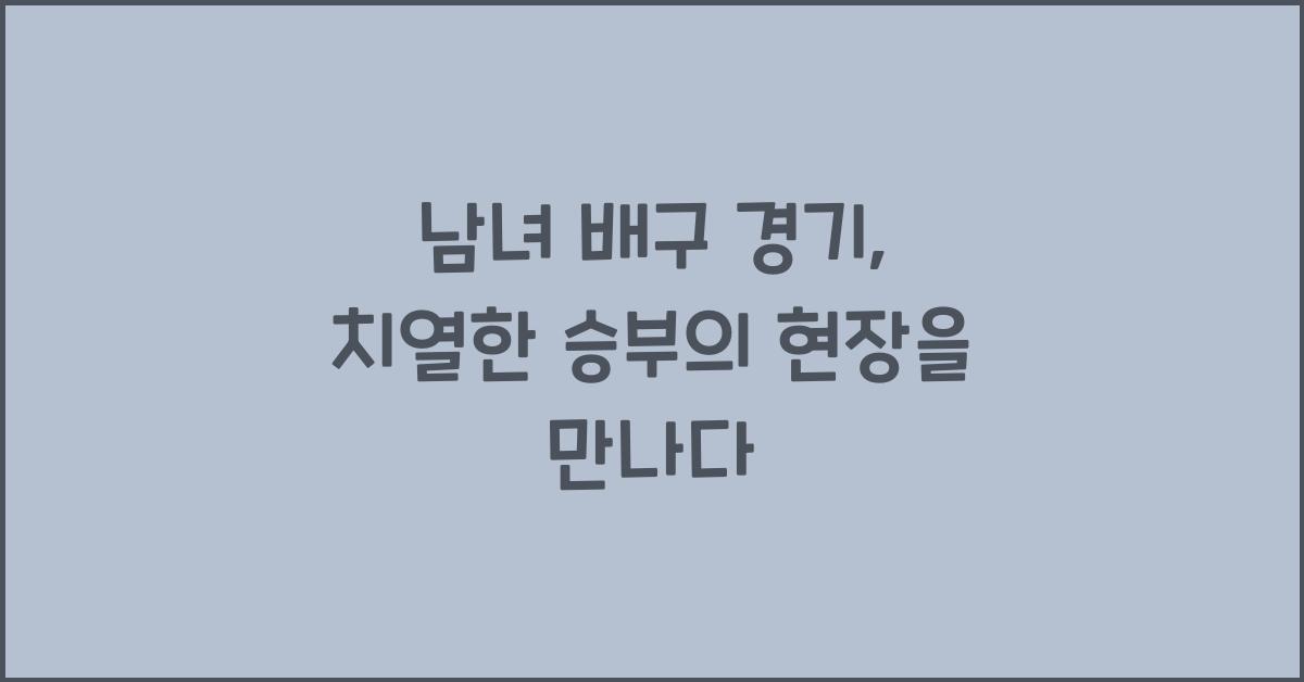 남녀 배구 경기