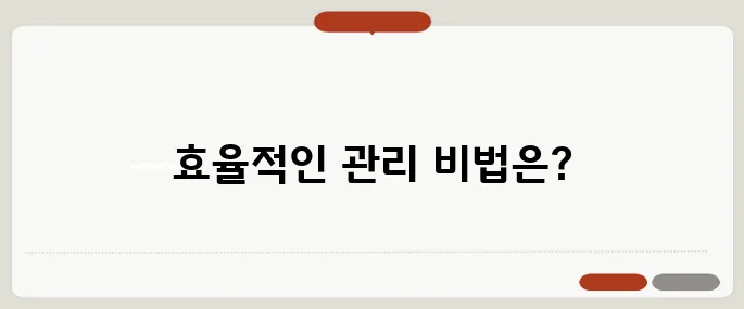 인스타그램 관리 효율 높이는 꿀팁