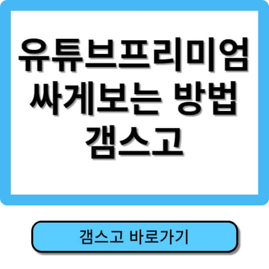 유튜브 프리미엄 싸게보기