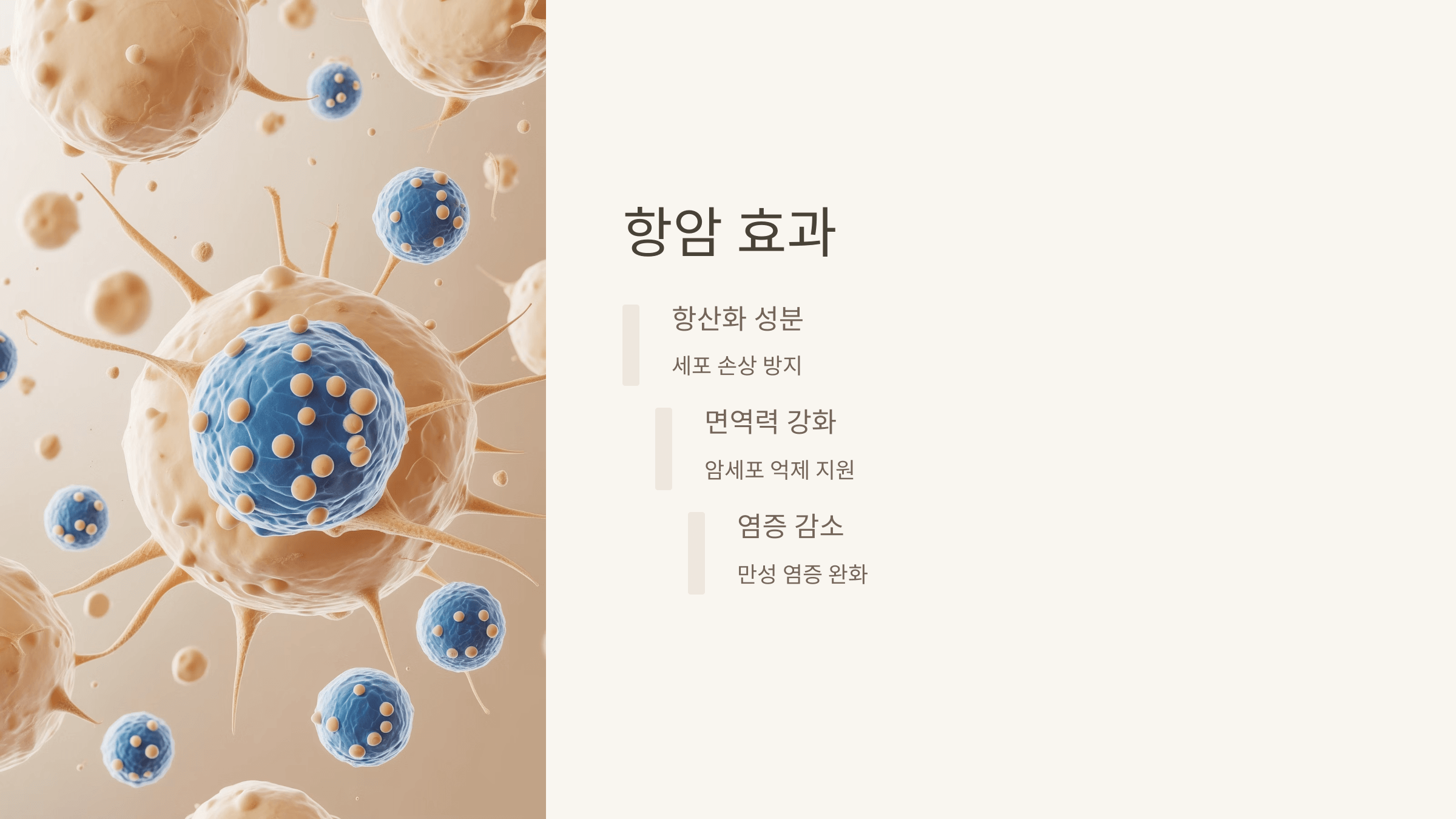 고구마 사진입니다.