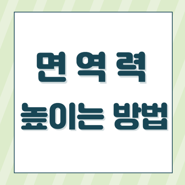 면역력 높이는 방법