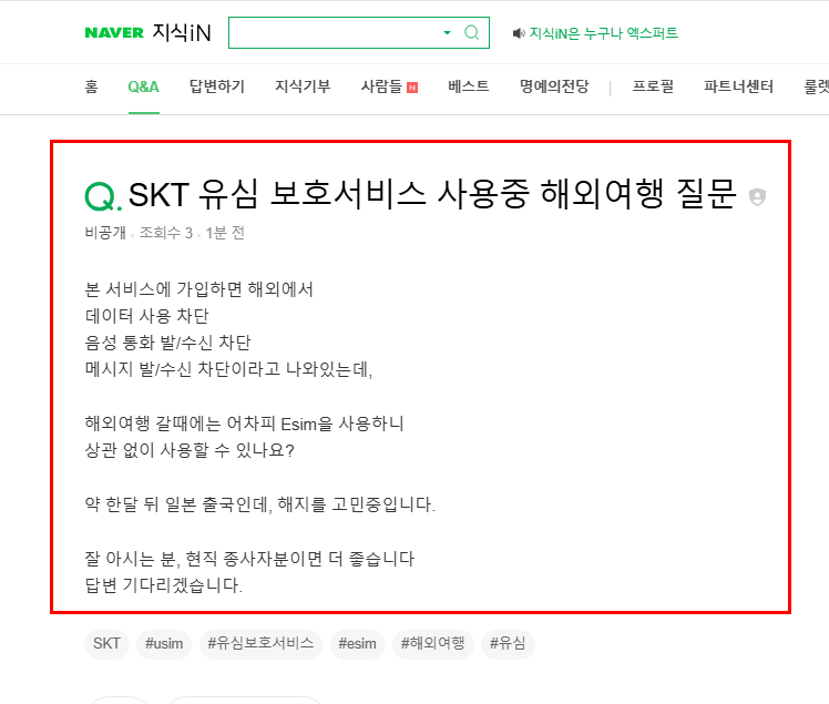 skt 유심 보호서비스 사용 중 해외여행 질문 지식인