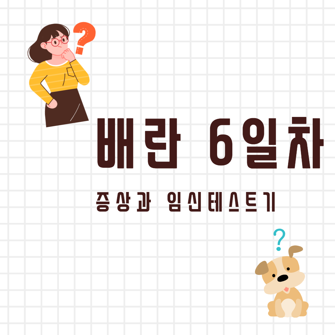  [6월] 배란 6일차 임테기 단호박