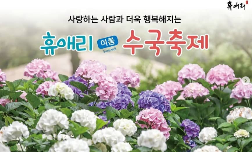 수애리 이미지