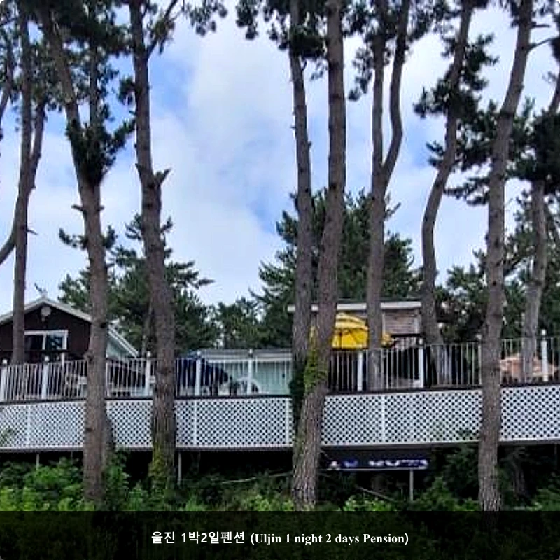 울진 1박2일펜션 (Uljin 1 night 2 days Pension)_1