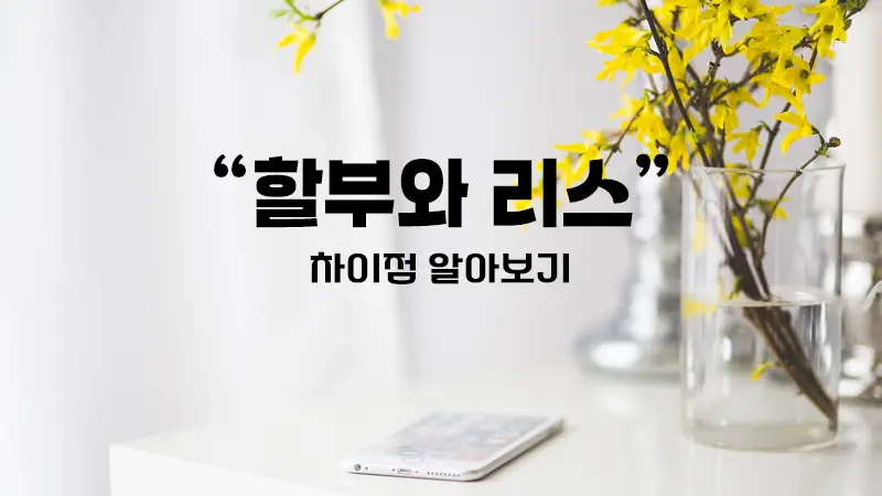 할부와 리스 차이점 알아보기