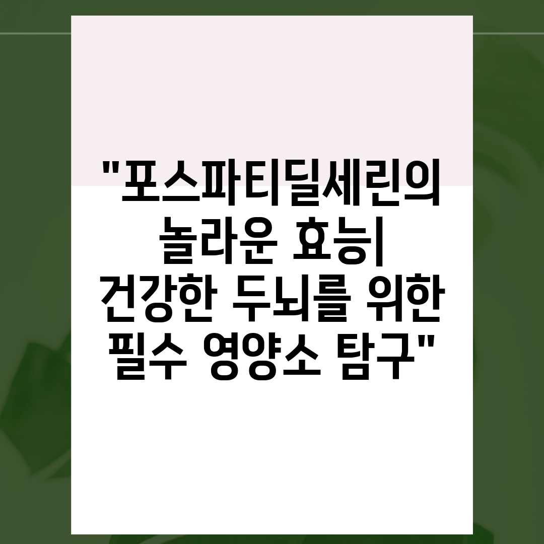 포스파티딜세린의 놀라운 효능 건강한 두뇌를 위한 필수 