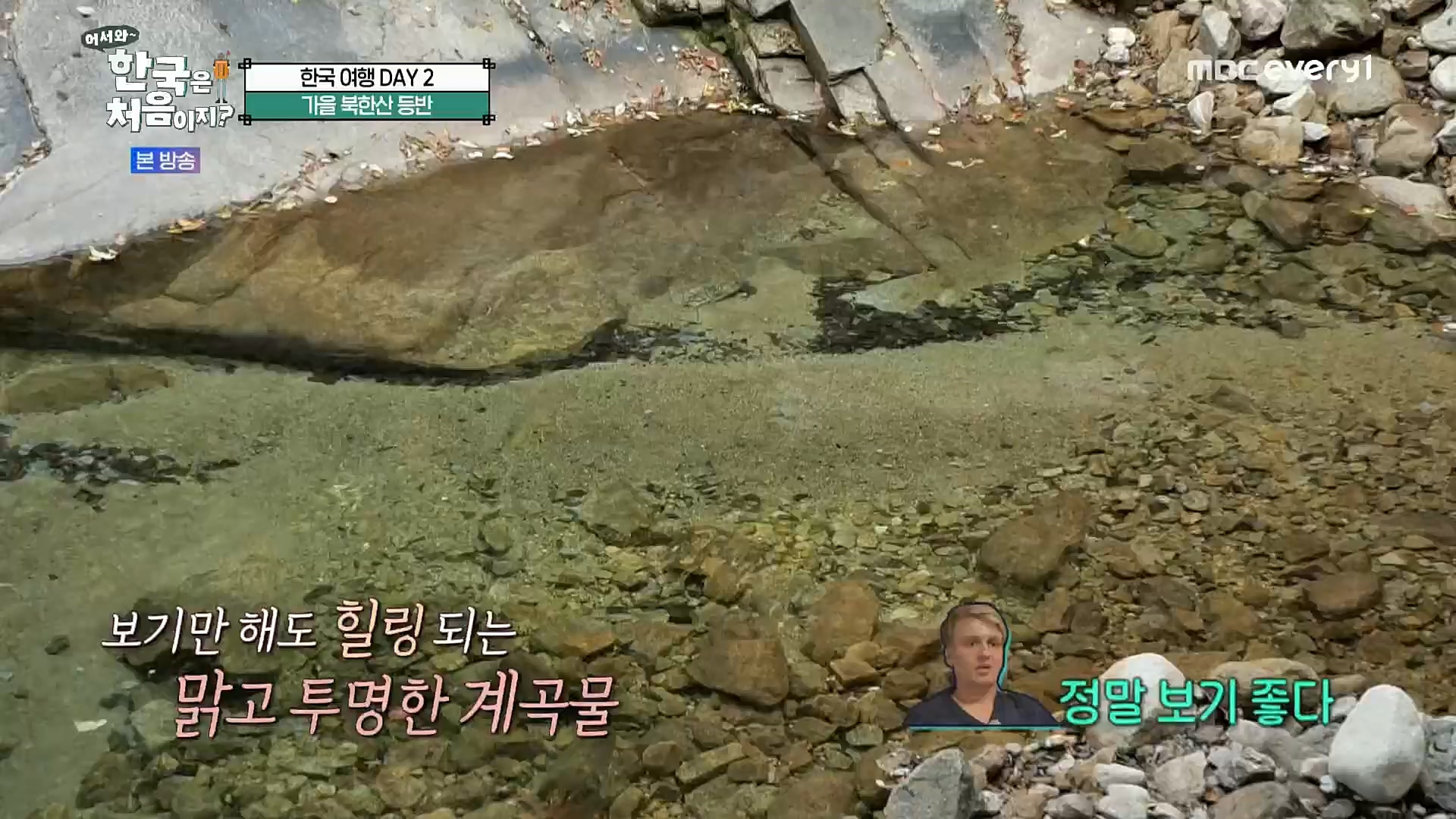 어서와~ 한국은 처음이지.E273.221208p.H264-F1RST.mp4_20221209_200222.373.jpg