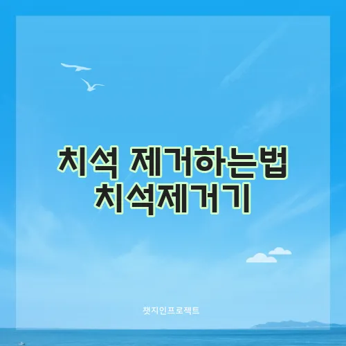 치석 제거하는법 치석제거기, 치약