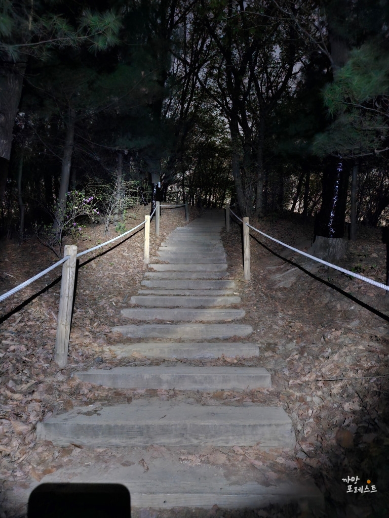우면산 하산길